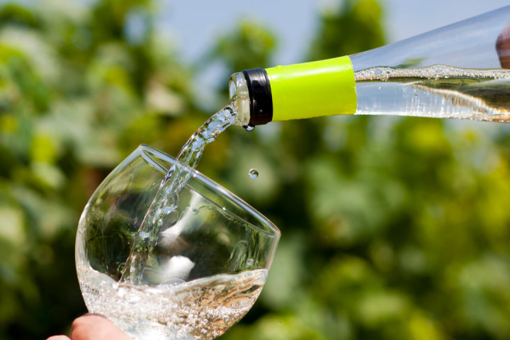 a hand holding a glass of wine