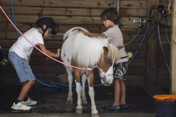 pony ride