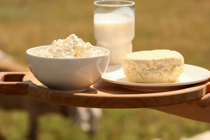 Fresh Goat Cheese Making Experience