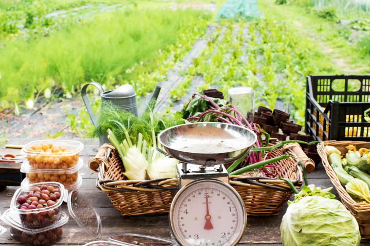 farm to table in lisbon