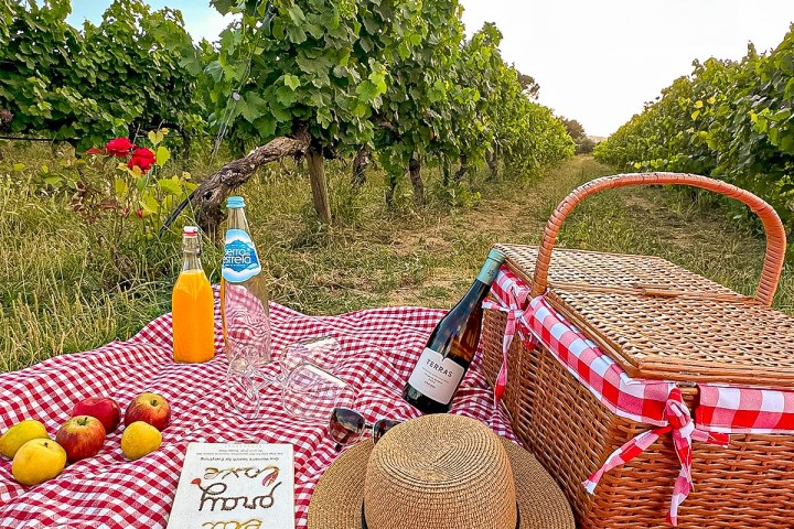 Serra da Estrela Picnic Experience