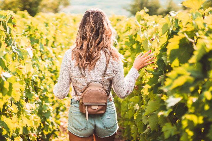 Walk through the Vineyards in Cartaxo